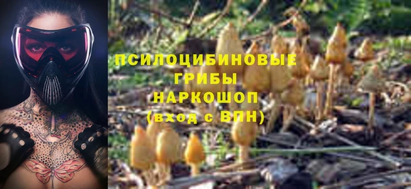 шишки Алексин