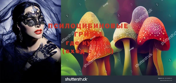 шишки Алексин