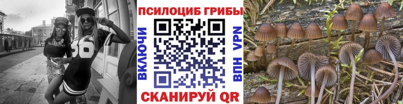 где продают наркотики  Крымск  hydra маркетплейс  Галлюциногенные грибы Cubensis 