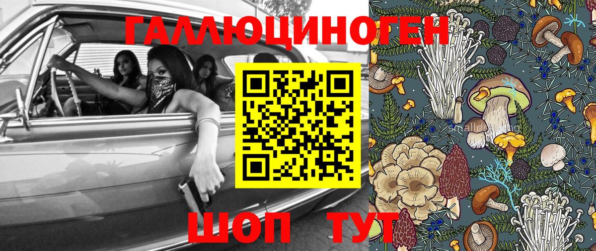 Крымск  Псилоцибиновые грибы Psilocybine cubensis  Вход с VPN 