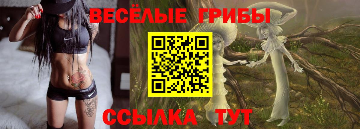 Галлюциногенные грибы мухоморы Крымск
